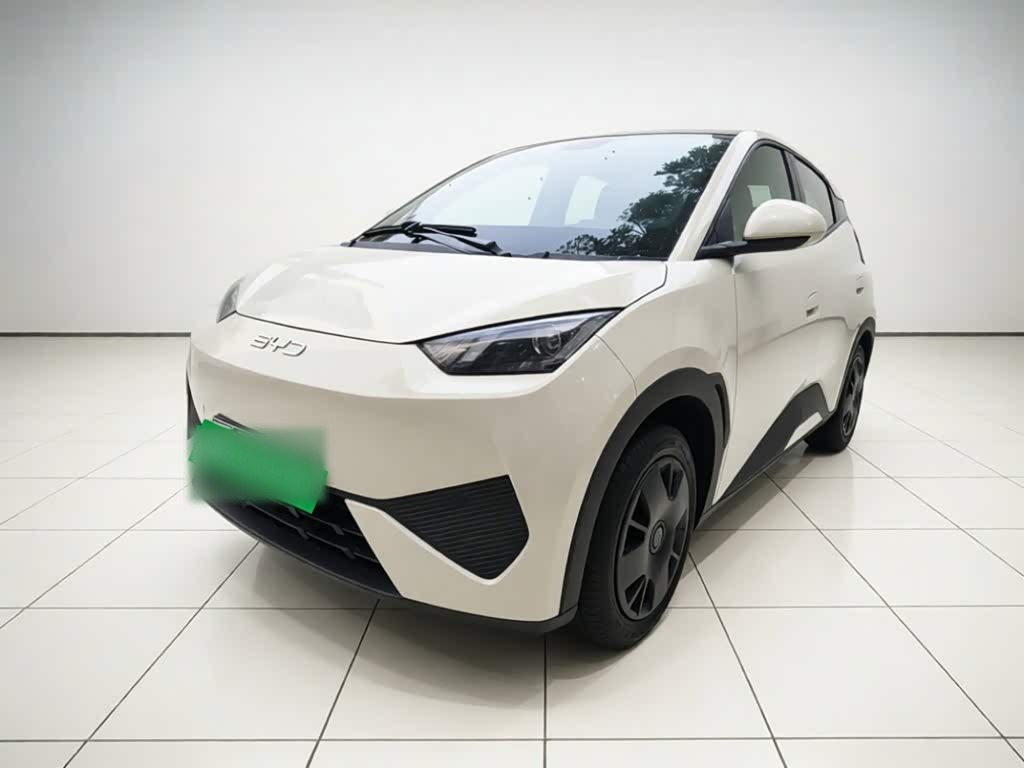 Seagull 2025 305km