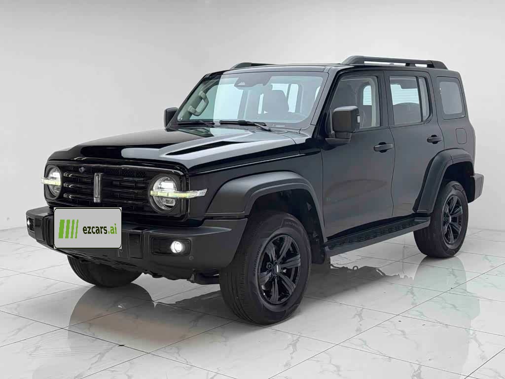 300 2021 Off-road 2.0T