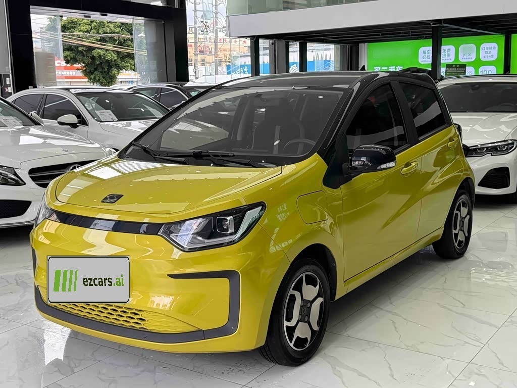 Flower Fairy 2021 302km Luxury 31.4kWh