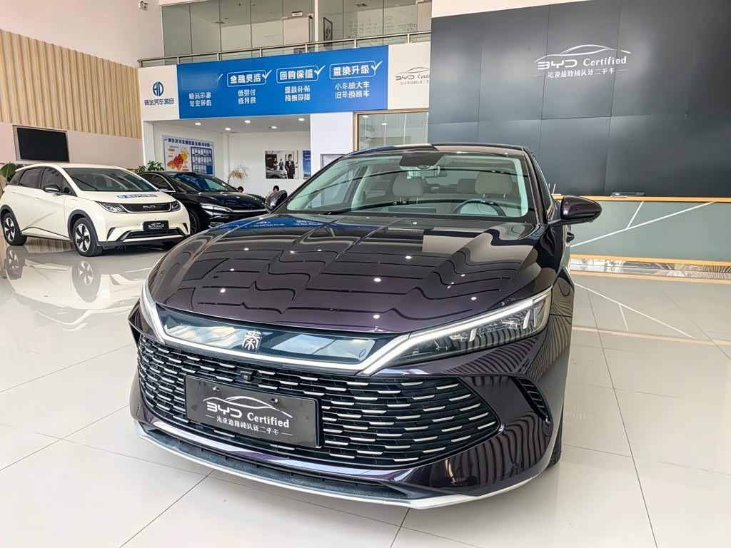 Qin L 2024 DM-i 80KM