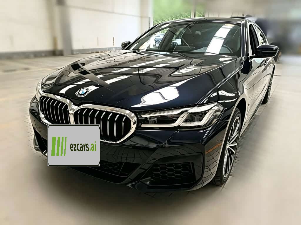 BMW5 Series 2022 530Li Leading M Sport Package