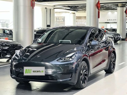 Model Y 2024 RWD