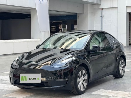 Model Y 2021 Standard Range RWD