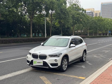 X1 2019 sDrive20Li Leading