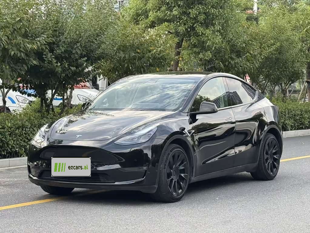 Model Y 2021 Long Range AWD