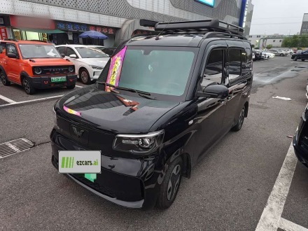 Zhiguang EV 2025 201km Comfort