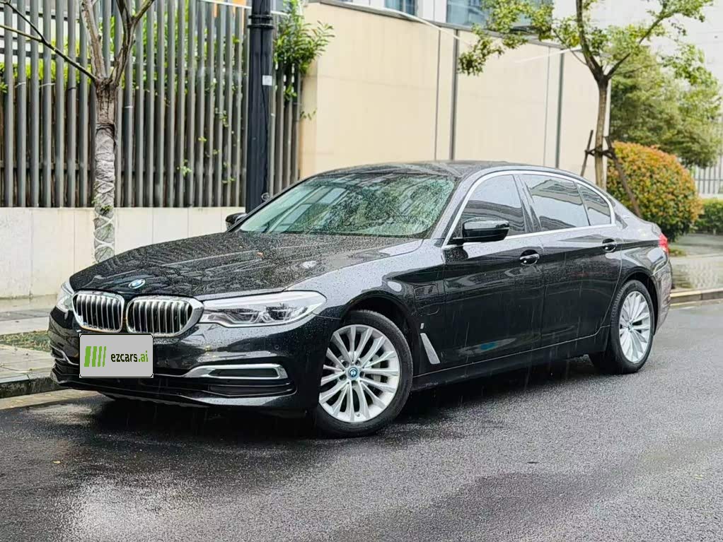 5 Series EV 2019 530Le