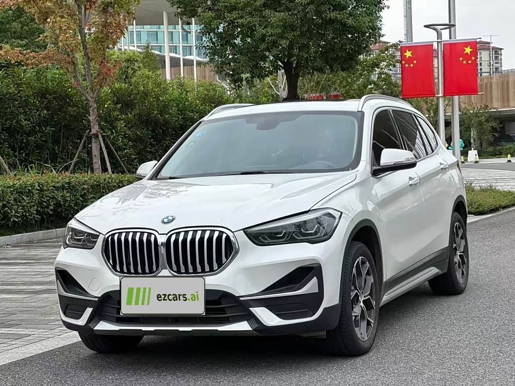 X1 2020 sDrive20Li Exclusive
