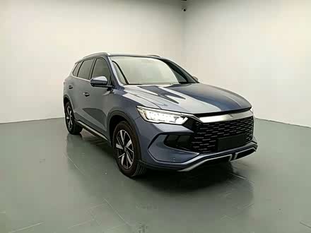 Song Pro EV 2024 Honor DM-i 71KM Pilot