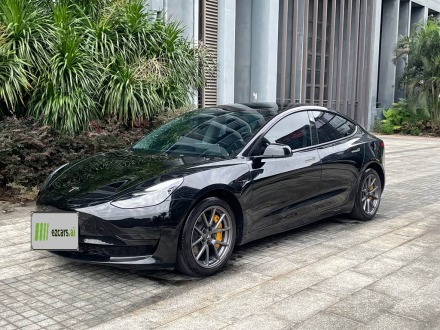 Model 3 2021 Standard Range RWD Upgraded