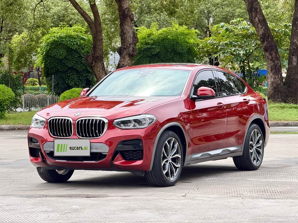 X4 2019 xDrive25i M Off-road