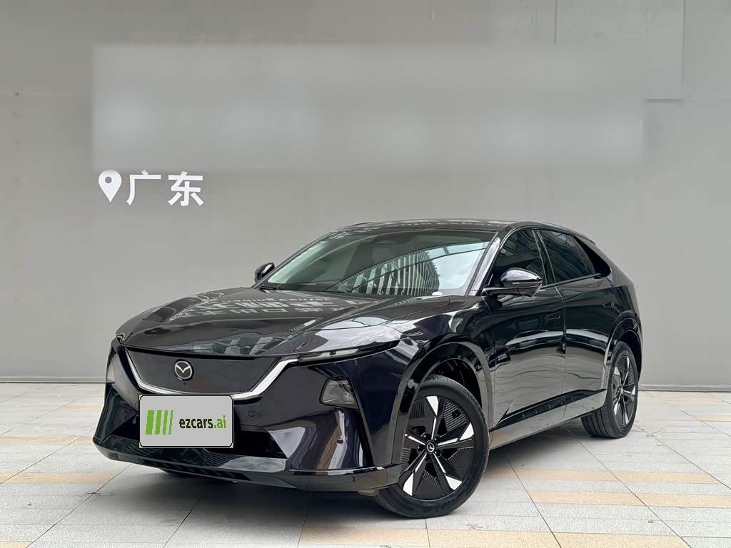 EZ-60 2025 EV 600 Pro