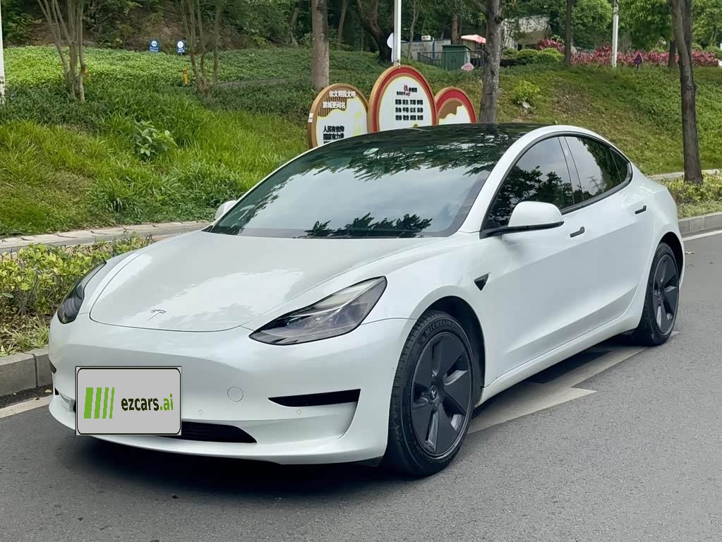 Model 3 2021 Standard Range RWD Upgraded
