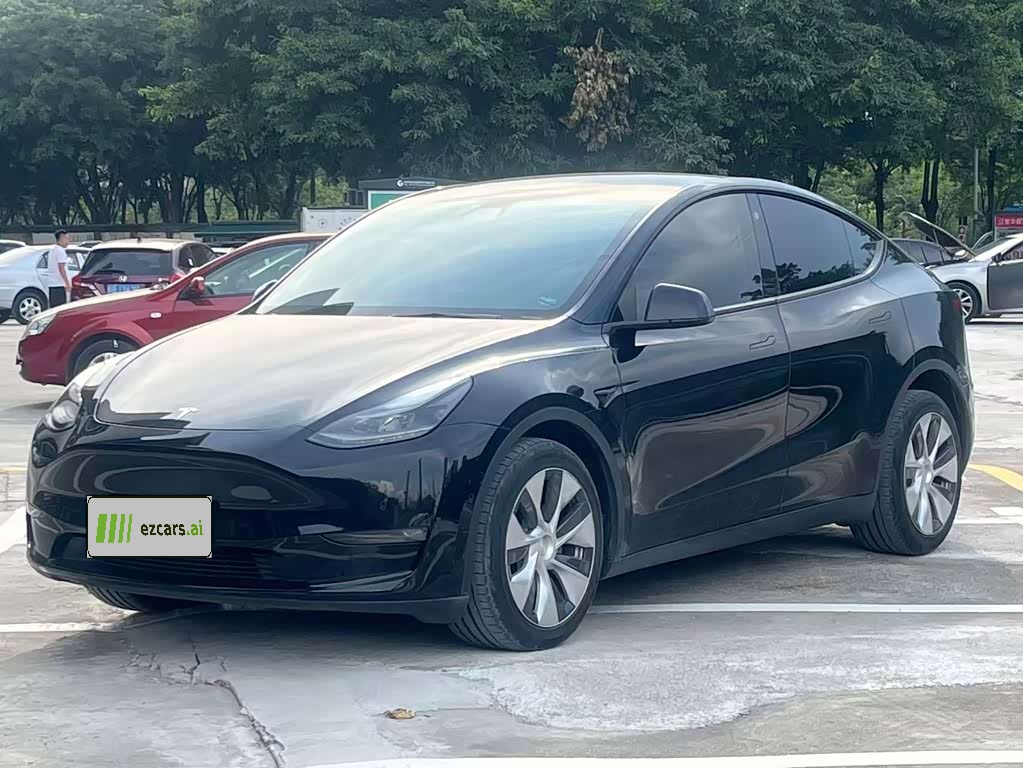 Model Y 2021 Long Range AWD