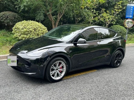 Model Y 2022 Facelift RWD
