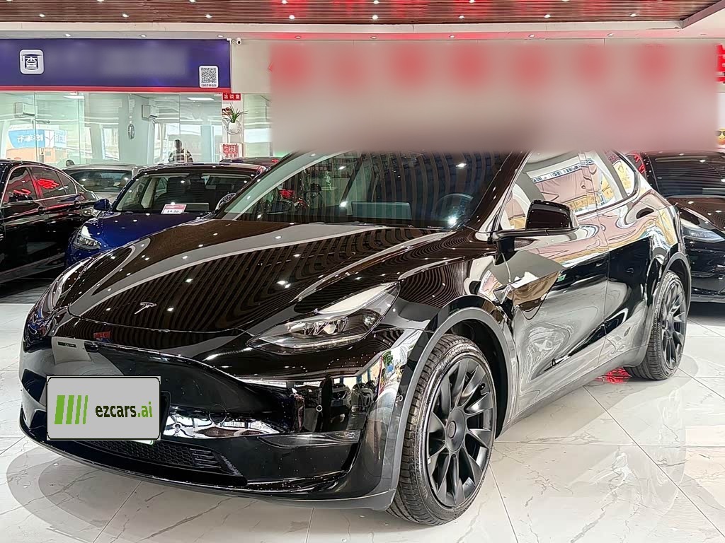 Model Y 2021 Standard Range RWD