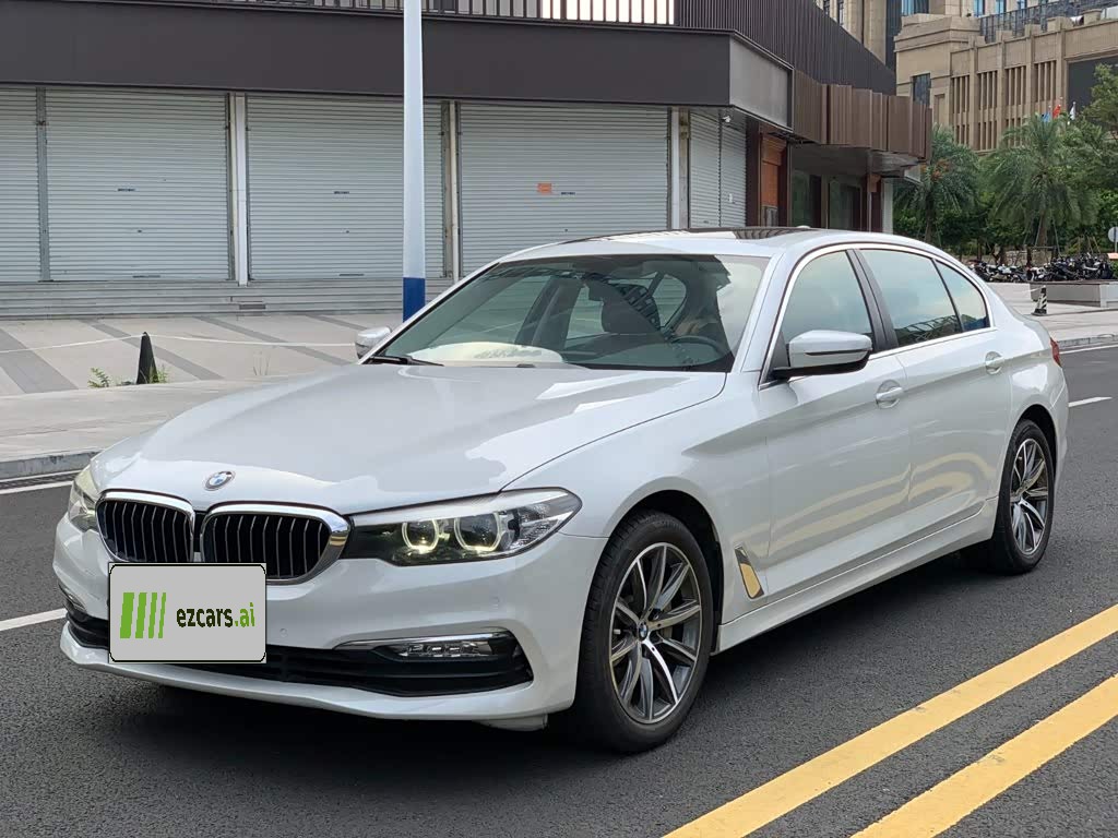 5 Series 2018 528Li Special