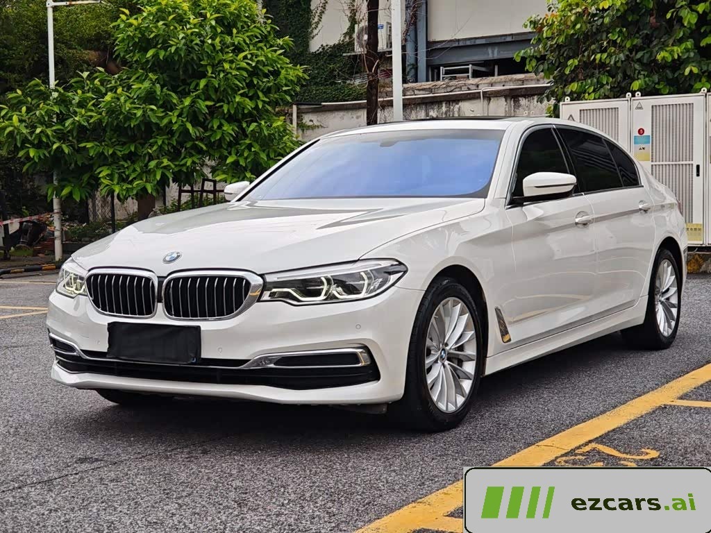 BMW5 Series 2020 530Li Leading Luxury