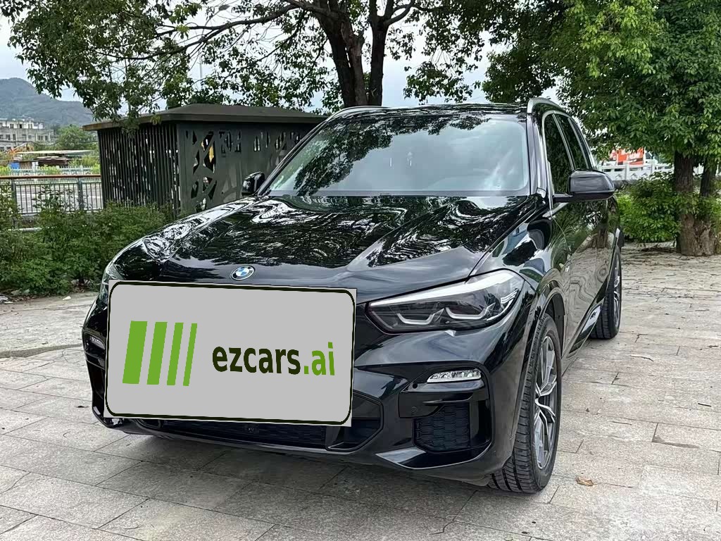 BMWX5 Imported 2020 xDrive30i M Sport Package