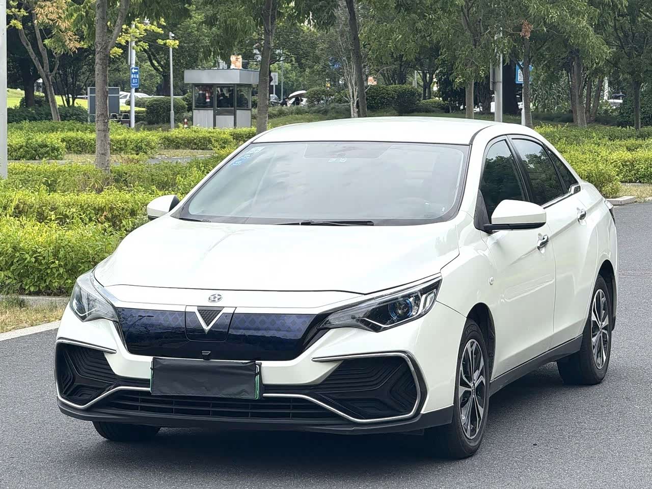 D60EV 2020 Standard Range Smart