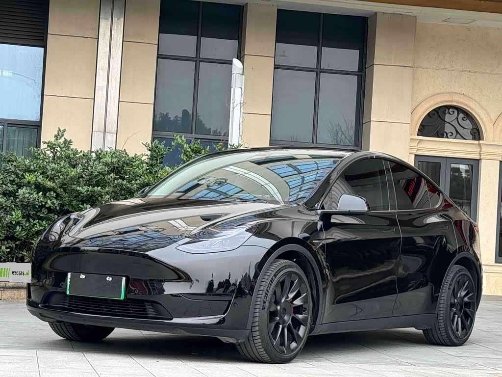 Model Y 2021 Standard Range RWD