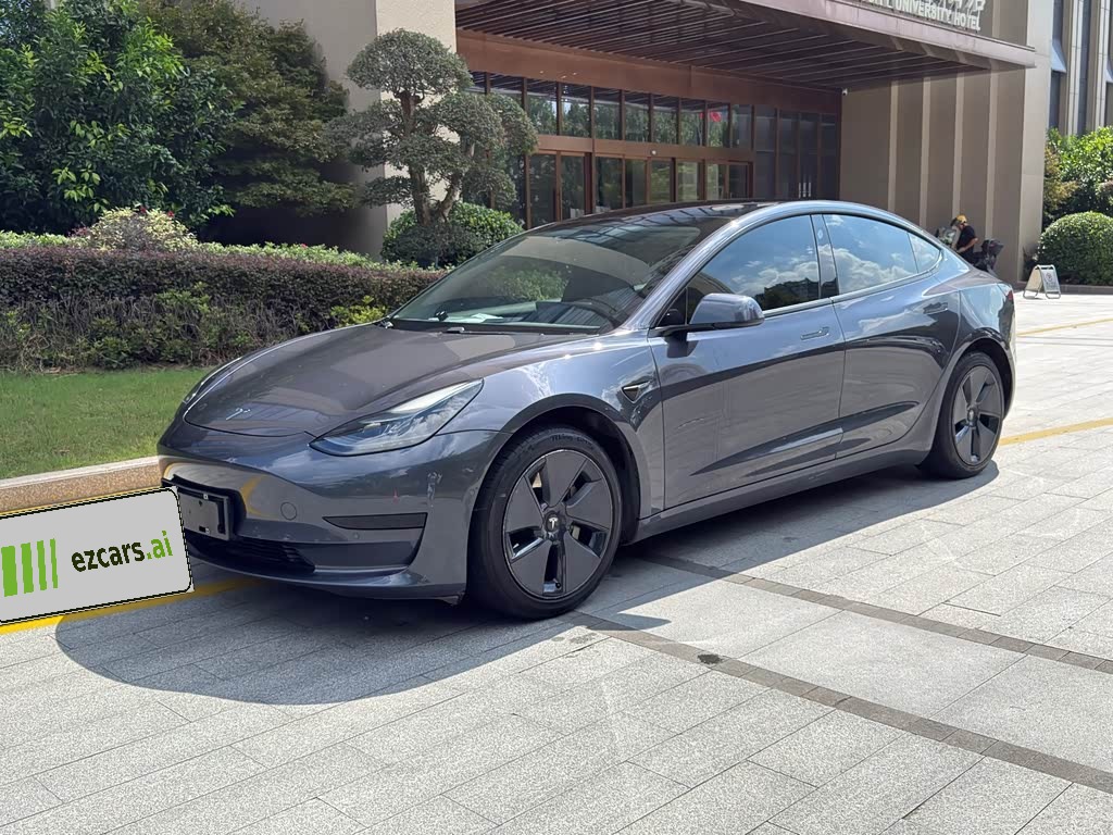 Model 3 2021 Standard Range RWD Upgraded 3D6
