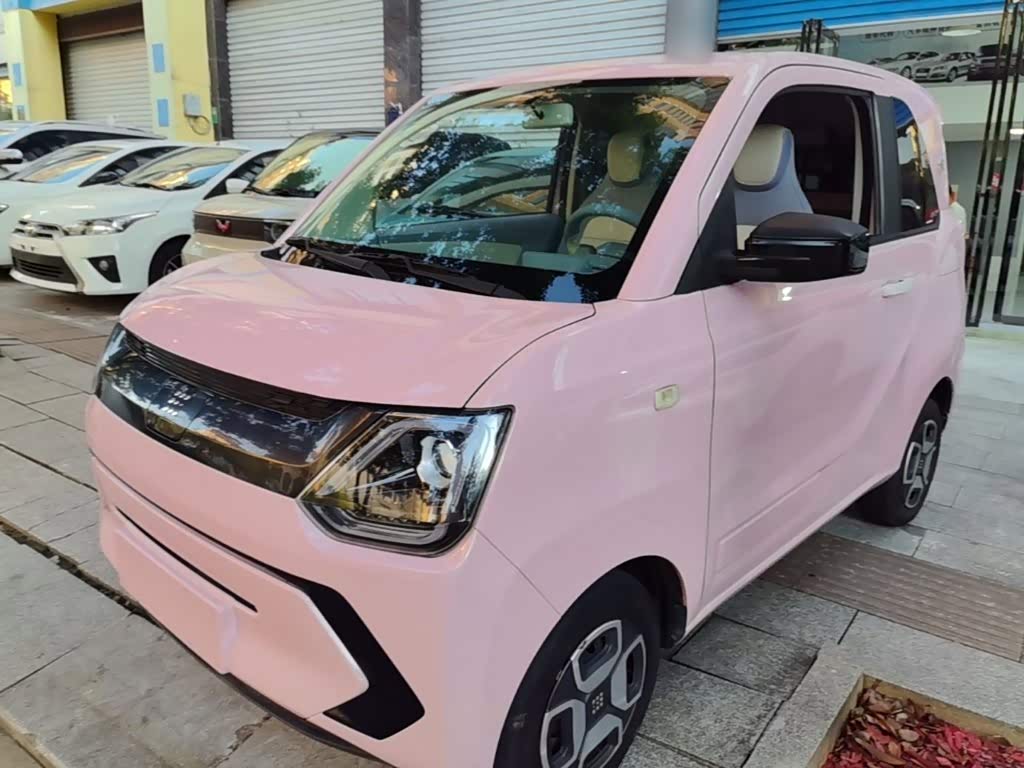 Fengon MINIEV 2022
