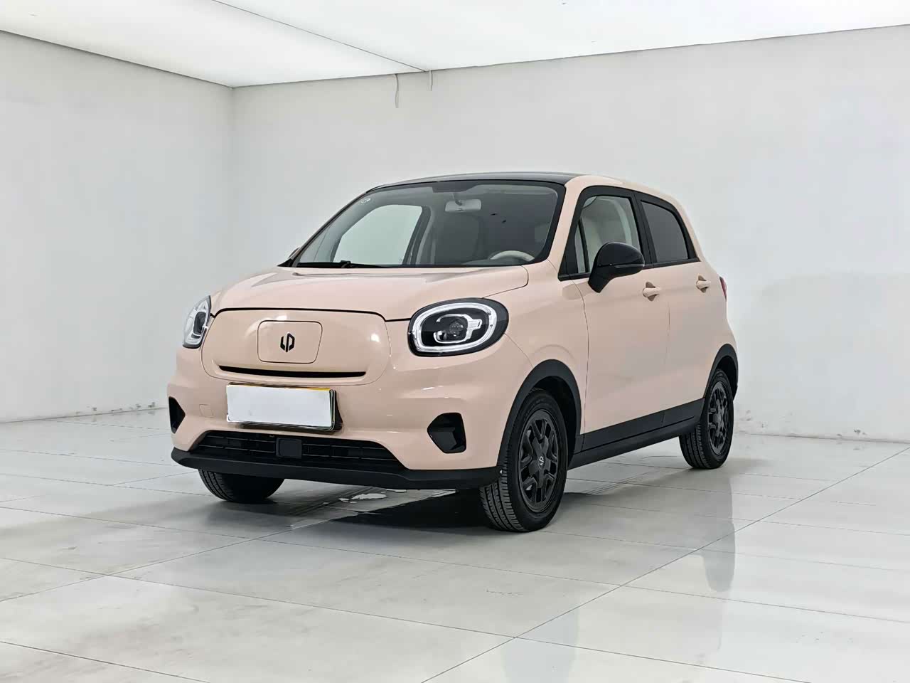 T03 2023 310