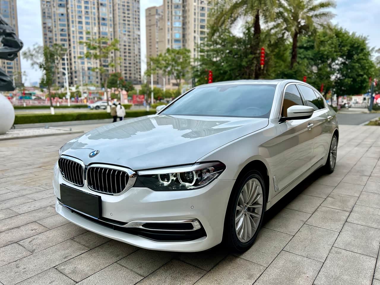 BMW5 Series 2019 Facelift 530Li xDrive Luxury