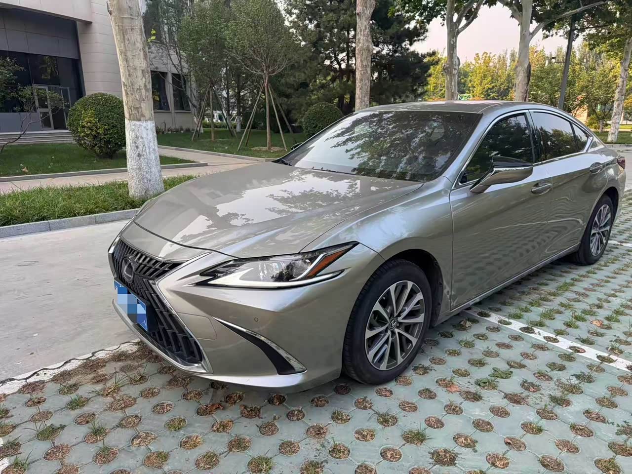 LexusES 2022 200 Excellence
