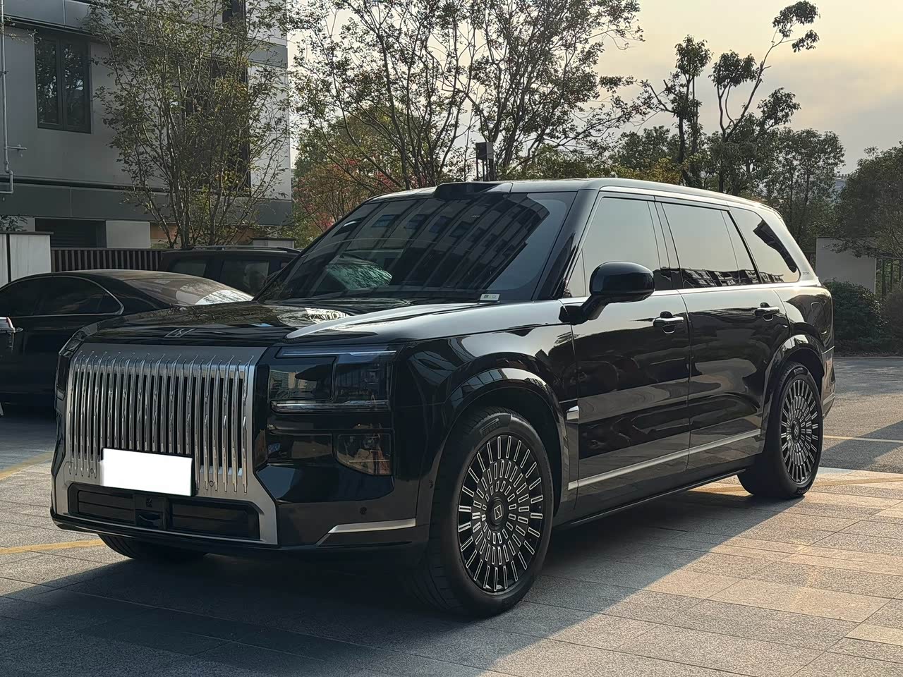 9X 2025 Max 55kWh 6-Seater