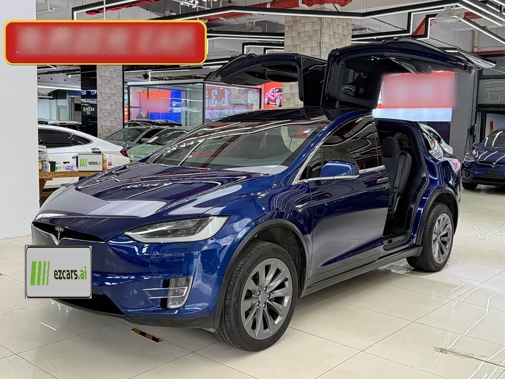 Model X 2017 Model X 100D Long Range