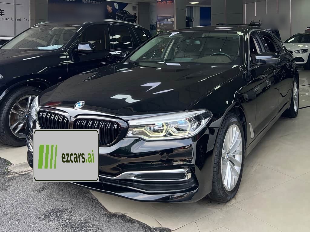 BMW5 Series 2020 530Li Leading Luxury