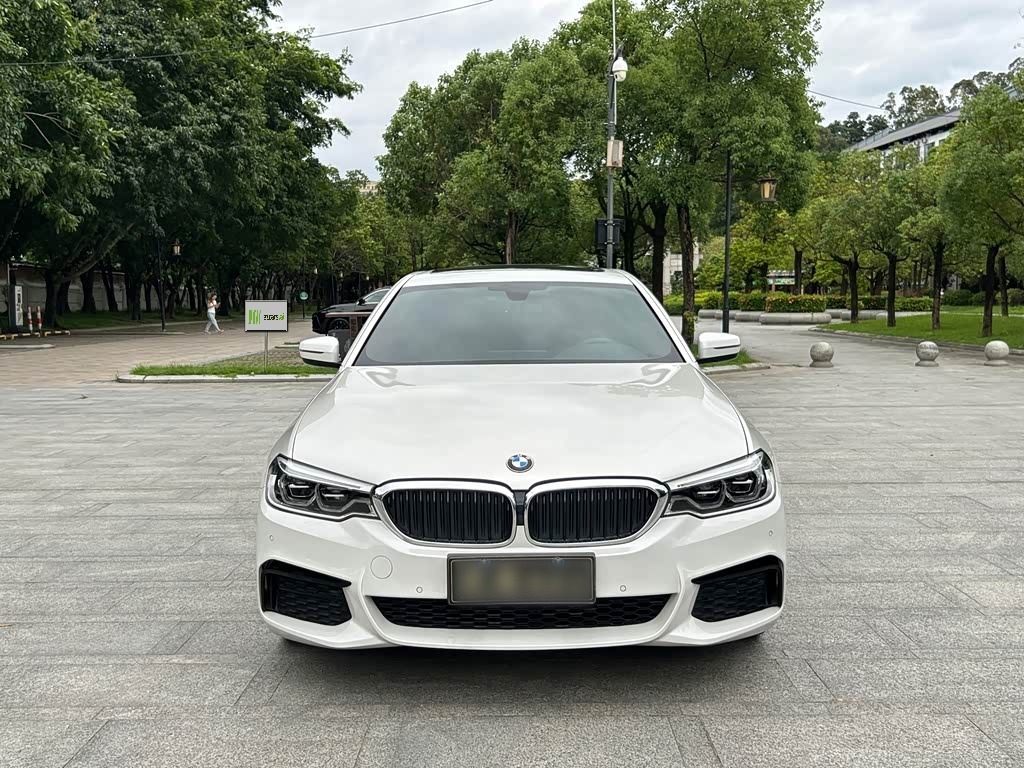 BMW5 Series 2020 530Li Leading M Sport Package