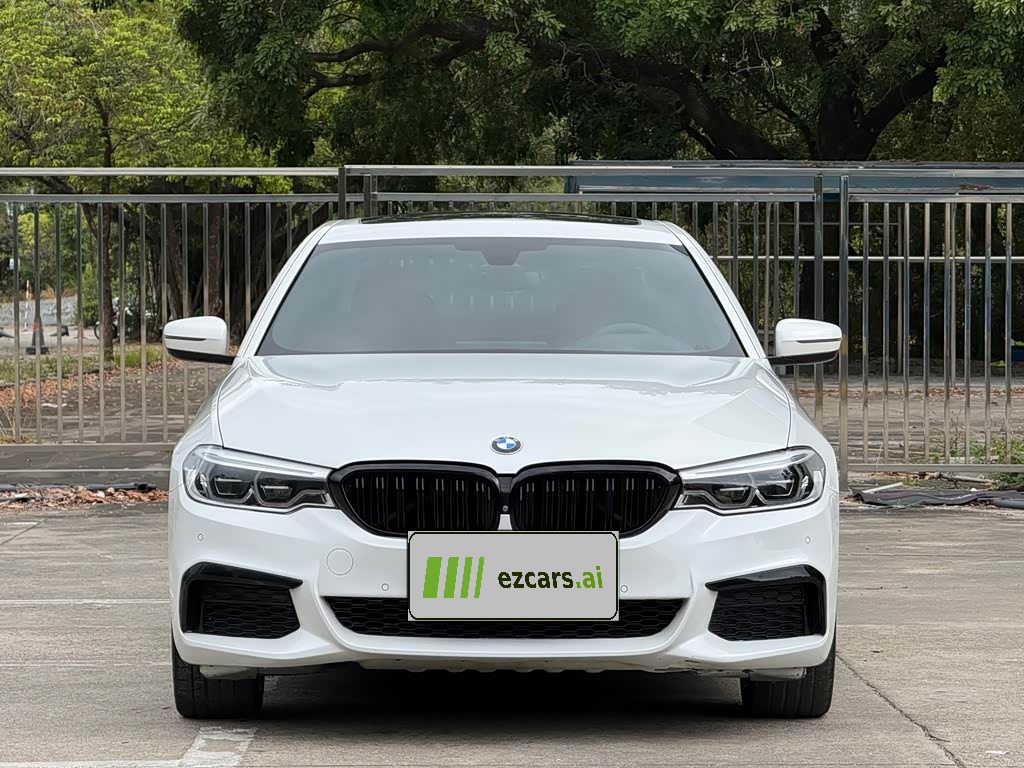 BMW5 Series 2020 530Li Exclusive M Sport Package