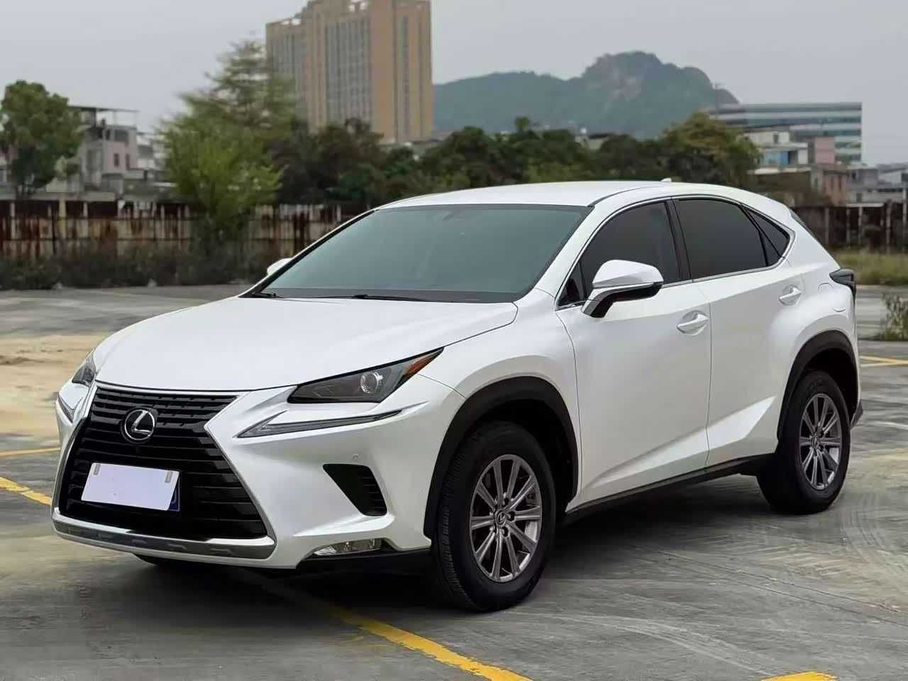 LexusNX 2020 200 FWD China VI