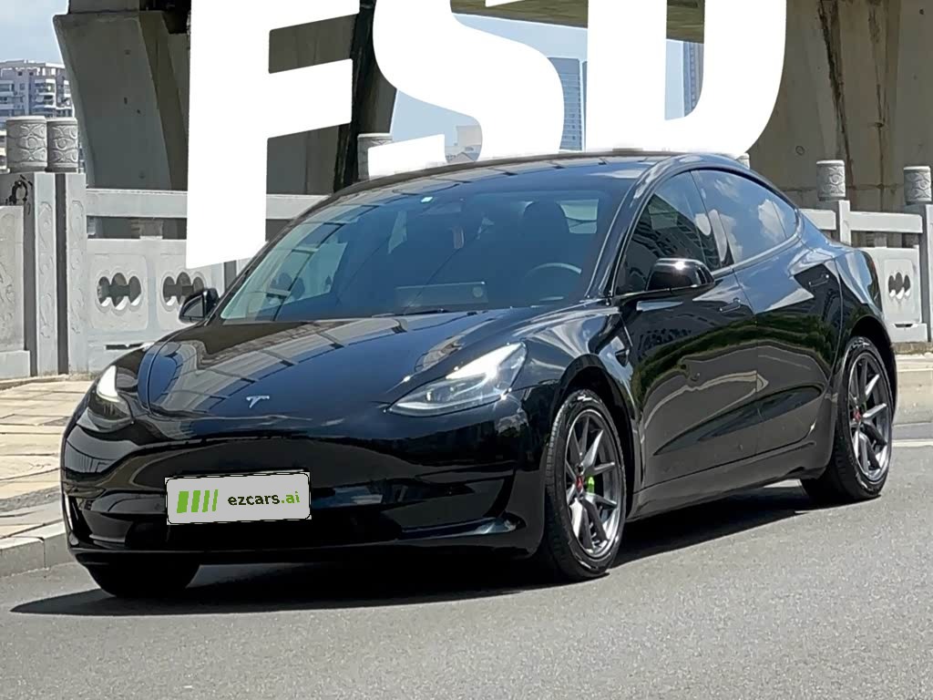 Model 3 2021 Facelift Standard Range RWD Upgraded 3D1