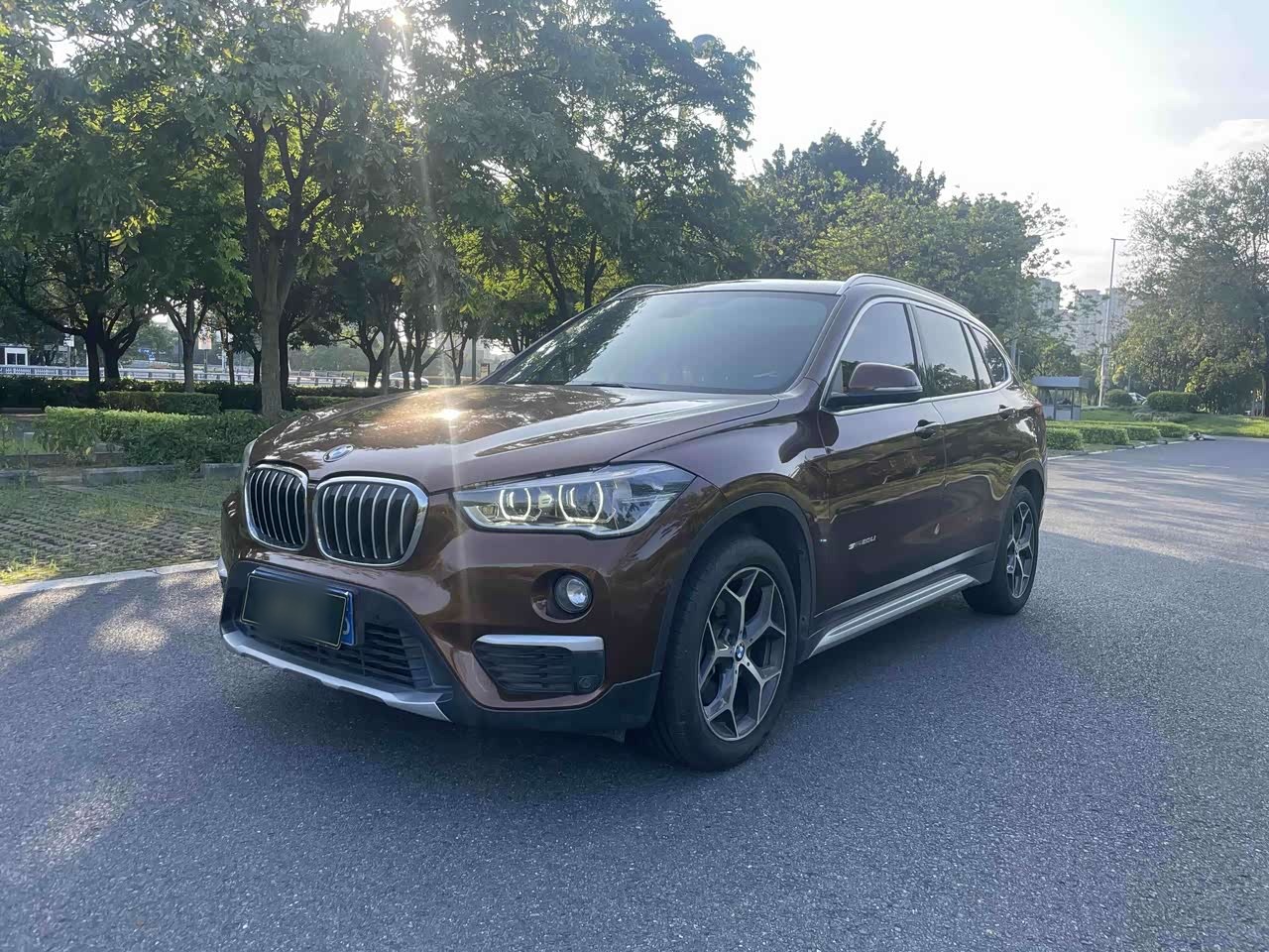 X1 2016 sDrive20Li Luxury