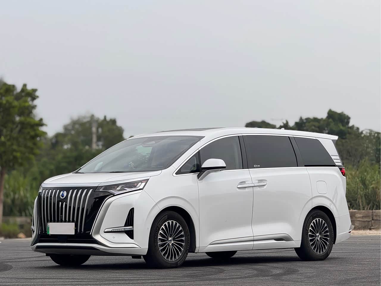 D9 2022 EV 600 AWD Flagship