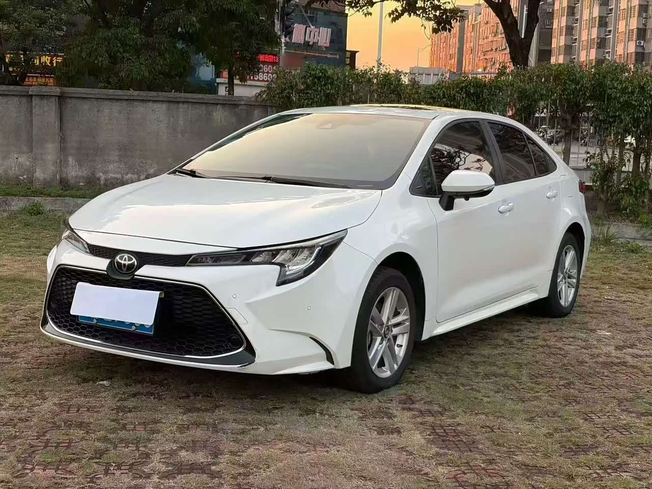 Levin 2022 185T CVT Luxury