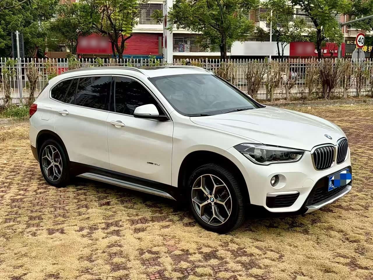 X1 2018 sDrive18Li Exclusive