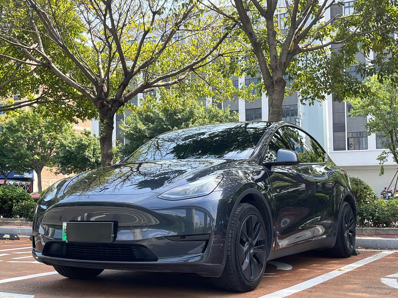 Model Y 2024 RWD
