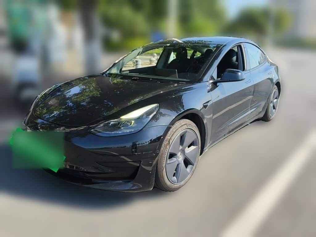 Model 3 2021 Standard Range RWD Upgraded 3D6
