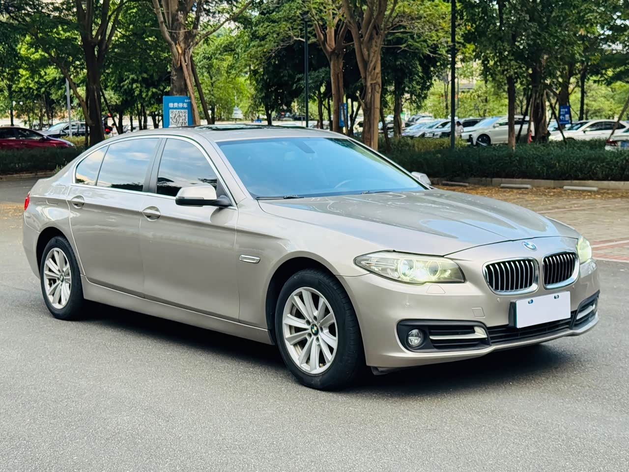 5 Series 2017 520Li