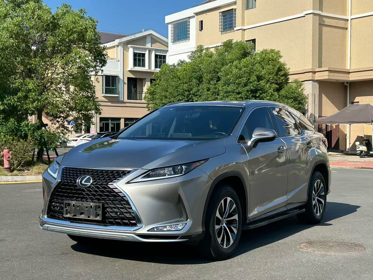 RX 2020 300 RWD Elite China VI