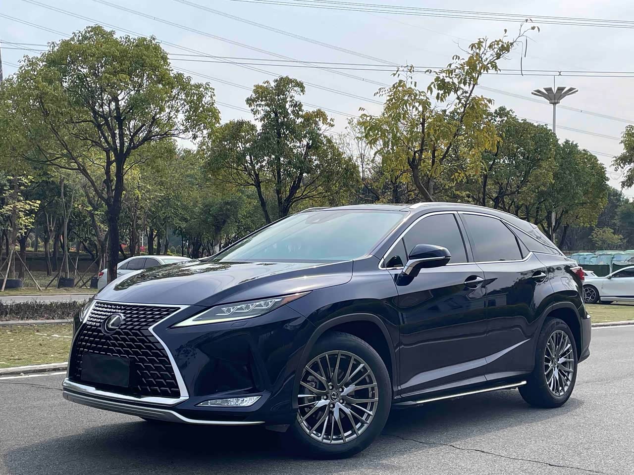 RX 2020 300 AWD Elegant China VI