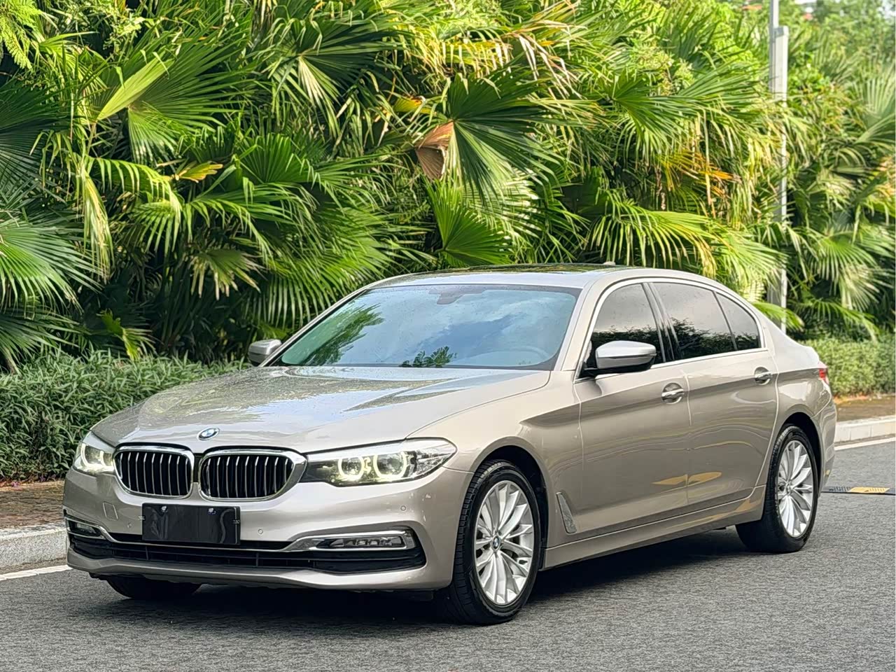 5 Series 2018 Facelift 530Li Leading Luxury