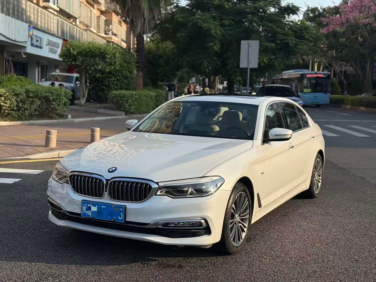 5 Series 2018 530Li Exclusive Luxury