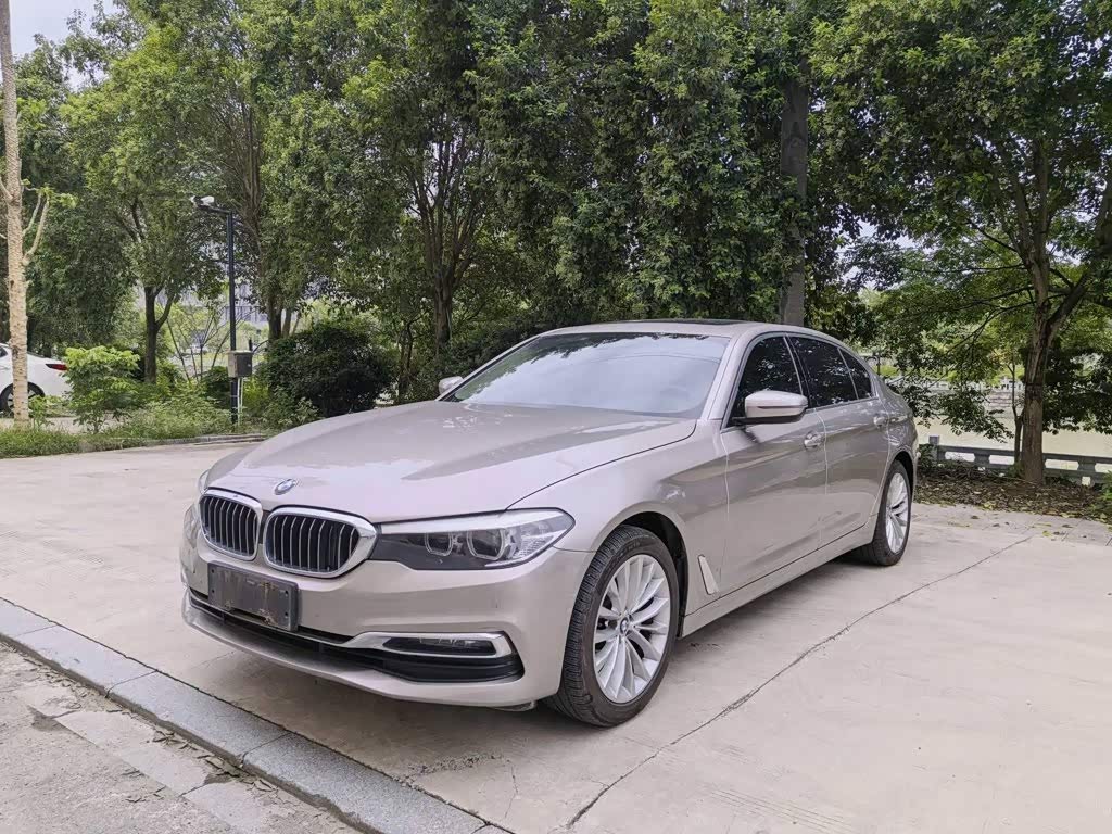 5 Series 2019 525Li Luxury