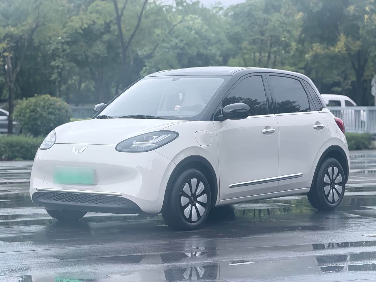 Bingo 2024 333km